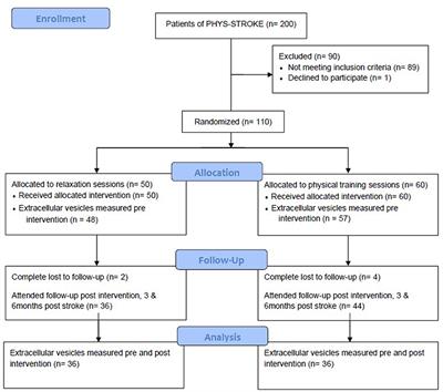 The Dynamic of Extracellular Vesicles in Patients With Subacute Stroke: Results of the “Biomarkers and Perfusion—Training-Induced Changes After Stroke” (BAPTISe) Study